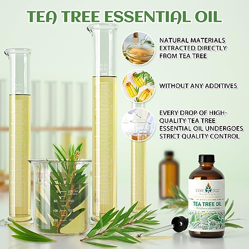 EVOKE OCCU Tea Tree Essential Oil 4 Oz, Pure Tea Tree Oil for Diffuser Skin Hair Body Nail Care- 4 FL Oz