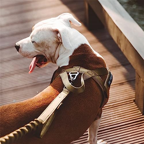 Excellent Elite Spanker Tactical Dog Harness Vest Adjustable Nylon Pet Dog Harness for Small Medium and Large Dogs(Ranger Green-S)