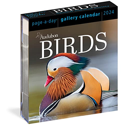 Audubon Birds Page-A-Day Gallery Calendar 2024: Hundreds of Birds, Expertly Captured by Top Nature Photographers