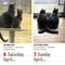 365 Cats Page-A-Day Calendar 2024: The World's Favorite Cat Calendar