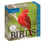 Audubon Birds Page-A-Day Calendar 2024: The World's Favorite Bird Calendar