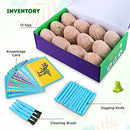 Dig Up Dinosaur Eggs， Break Open 12 Unique Dinosaur Eggs and Discover 12 Cute Dinosaurs，Funny Dinosaur Digging Toy for Archaeology Science STEM Gift (Dinosaurs Toys)