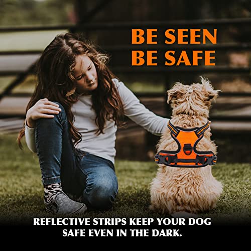 Reflective Dog Harness with Leash Set Inelastic Harness Adjustable Soft Padded Dog Vest Breathable for Training