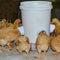 Chicken Feeder Poultry Pro Feeder DIY Port PVC Gravity Fed Chicken Feeder