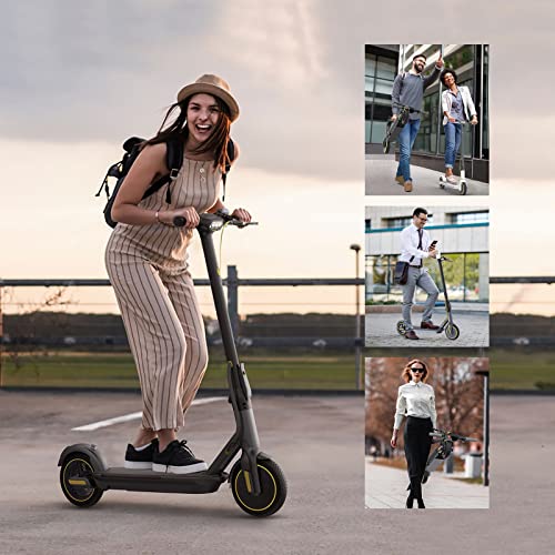 RIDEO Electric Scooter L1-Pro Peak 500 W Air-Free Solid Tires Adult Kick Scooter Foldable Commuter Shock Absorption Spring