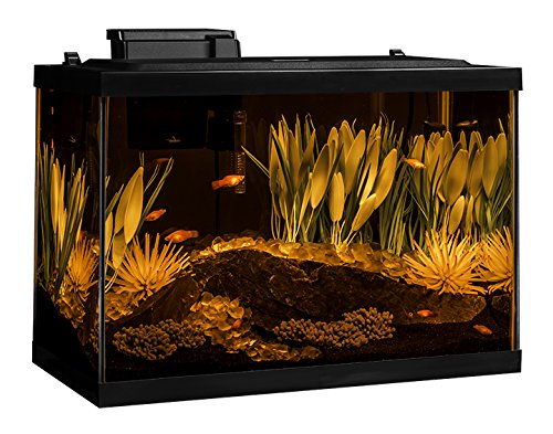 Tetra Glass Aquarium 5.5 Gallons, Rectangular Fish Tank