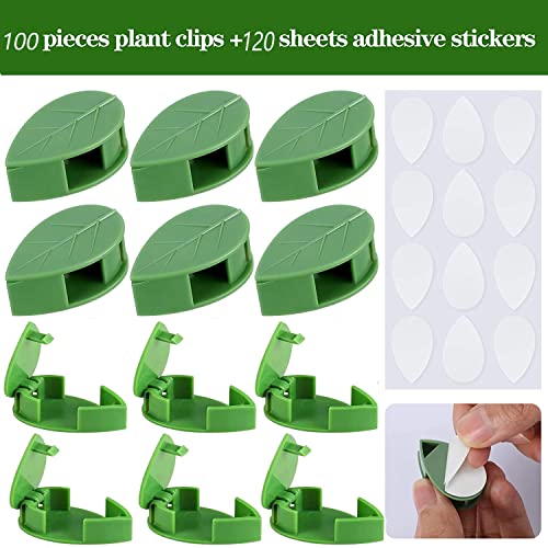 100 Pcs Plant Fixture Clips, with 120 Pieces Acrylic Adhesive Sticker Climbing Wall Fixture Clips Fixer Invisible Wall Self-Adhesive Hook Plant Vine Traction for Decoration Garden Wall Clip