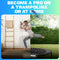 The Indo Pro Trick Scooter and Pro Scooter - for Teens and Adults - Stunt Scooter and Trampoline Scooter for Tricks - Professionals and Beginners - Good for Indoor and Outdoor Freestyle