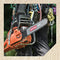 Oregon S56 AdvanceCut 16-Inch Chainsaw Chain Fits Craftsman, Echo, Homelite, Poulan, Remington
