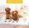 Pet Training Pads Leak-Proof and Super Absorbent Dog Pee Pads for Dogs, Puppies, Cats, Rabbits, Disposable Fast Drying Pee Mats for Housetraining (60 * 45cm, Blue, 50pcs)