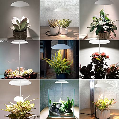 LED Grow Lights for Indoor Plants 2 Pack, Smart Full Spectrum USB Small Plant Lights with Remote, Height Adjustable, Auto On/Off Timer, Ideal for Home Decoration