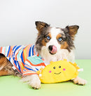 Zippy Paws Plush Dog Squeaker Toy,