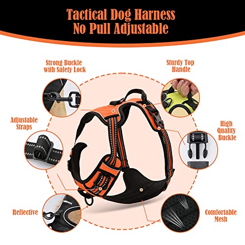 Reflective Dog Harness with Leash Set Inelastic Harness Adjustable Soft Padded Dog Vest Breathable for Training