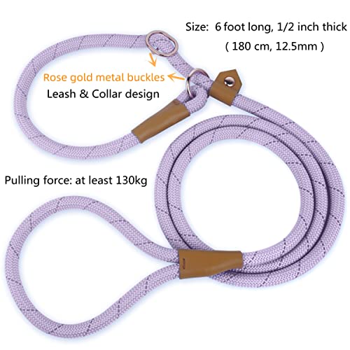 6FT Reflective Dog Slip Leash, Slip Lead Dog Leash, Slip Leads for Large Medium Dogs