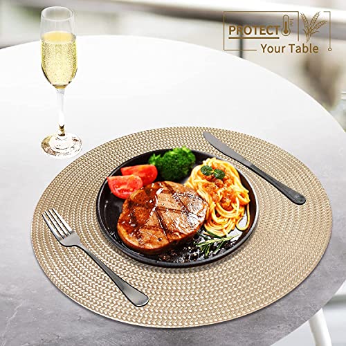 FYY Placemats, Round Placemats Set of 6 for Dining Table, Washable Round Anti-Skid Heat-Resistant PVC Table Mats Durable Stain Resistant Kitchen Table Mats, Set of 6 Gold