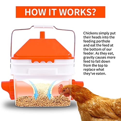 GUEOQTC 10 Pounds Chicken Feeder with 4 Ports, Rainproof Poultry Feeder for Up to 10 Adult Chickens or 15 Chicks(Orange) (OR-CF-8L)