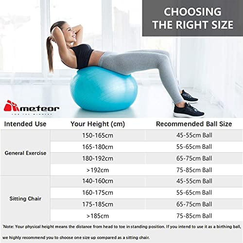 Meteor Essential Anti-Burst Swiss Ball - Premium Quality Exercise Ball for Pilates, Yoga, Balance & Fitness with Air Pump