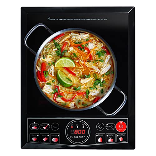 EuroChef 2000W Electric Induction Portable Cooktop