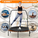 ADVWIN Rebounder Mini Trampoline, 48" Fitness Trampolines with Adjustable Foam Handle, Suitable for Adults and Kids Indoor/Outdoor Workout Max Load 150KG