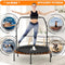 ADVWIN Rebounder Mini Trampoline, 48" Fitness Trampolines with Adjustable Foam Handle, Suitable for Adults and Kids Indoor/Outdoor Workout Max Load 150KG