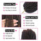 3Packs 8Inch Spring Twist Crochet Braiding Hair Extensions Ombre Color Hair Synthetic Short Bouncy Bomb Spring Twist Mini Passion Twist Fluffy Twist Crochet Braids Hair (1B/30)