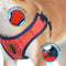 Marvel Comics Spiderman Superhero Dog Harness for Large Dogs | No Pull Dog Harness, Dog Vest Harness | Red No Escape Large Dog Harness Spiderman Dog Costume in Size Large (L)