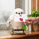 Wizarding World, Enchanting Hedwig Interactive Harry Potter Owl with Over 15 Sounds and Movements and Hogwarts Envelope, Kids Toys for Ages 5 and up, 6061829