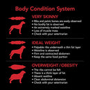 SUPERCOAT Adult Chicken Dry Dog Food 20kg