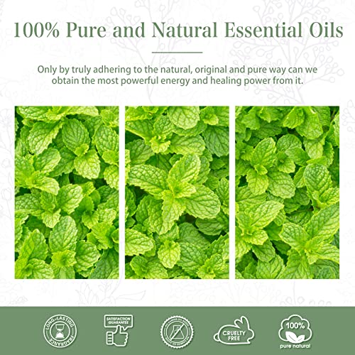 PHATOIL Peppermint Essential Oil 30ML, Essential Oils for Diffuser, Humidifier, Aromatherapy, DIY Candle and Scented Products Making (Peppermint, 30 ml)