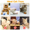 Qoosea 24PCS Cat Toys Set Interactive Kitten Toys for Indoor Cats Catnip Toy Kitten Feather Wand Cat Tunnel, Cat Springs, Mice and Bells Toys, Cat Wand Toy for Cat Kitten