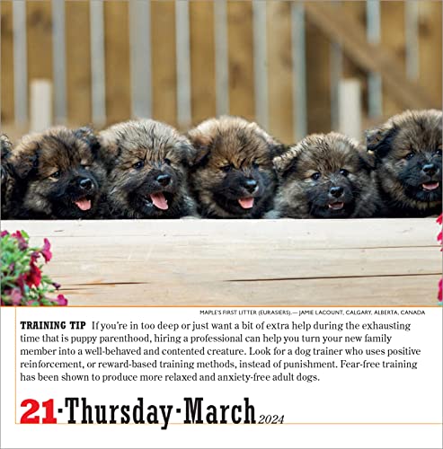 365 Dogs Page-A-Day Calendar 2024: The World's Favorite Dog Calendar