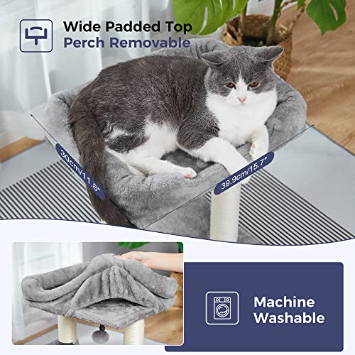 MeowSir Cat Tree 4 in 1 Cat Scratching Post Featuring with Cat Self Groomer Wide Large Top Perch Natural Scratching Post and Danging Ball for Indoor Cats-Grey