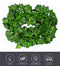 84 Ft 12 Pack Artificial Ivy Leaf, MerryNine Hanging Vines Fake Ivy Leaves Plants Fake Foliage Flowers Fake Greenery Decor for Home Kitchen Garden Office Wedding Wall Party Decoration(Ivy Leaf)