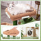 MeowSir Cat Tree Cute Tower Cactus Scratching Post with Large Top Perch Comfy Hammock Private Condo Fully Natural Sisal and Dangling Bell Ball for Indoor Cats- Khaki Green Khaki (YL-MSCT36XRZ10GN-US)