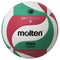 V5M5000 Premium Competition Volleyball