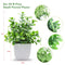 4 Pack Small Potted Fake Plants Artificial Eucalyptus Plants in Pots for Home Decor Faux Plant Indoor Frosted Plastic Planter for Office Bathroom Desk Room Greenery Decoration