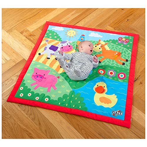 Galt Toys, Large Playmat - Farm, Baby Play Mat, Ages 0 Months Plus