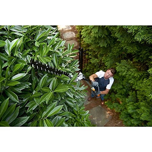 WORX 20V Cordless Pole Hedge Trimmer with POWERSHARE 2Ah Battery and Charger - WG252E