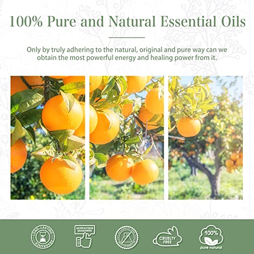 PHATOIL Essential Oil 100ML, Sweet Orange Essential Oils for Diffuser, Humidifier, Aromatherapy, DIY Candle and Scented Products Making (Sweet Orange, 100ml)