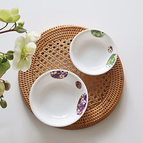 Corelle J108-BBFL CP-9173 Medium Plate, Plate, Break-Resistant, Lightweight, Microwave Safe, Oven Safe, Dishwasher Safe, Bombon Flail