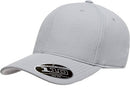 Flexfit Men's 110 Cool & Dry Athletic Cap, Silver, One Size
