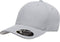 Flexfit Men's 110 Cool & Dry Athletic Cap, Silver, One Size