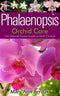 Phalaenopsis Orchid Care: The Ultimate Pocket Guide to Moth Orchids