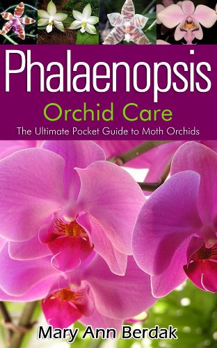 Phalaenopsis Orchid Care: The Ultimate Pocket Guide to Moth Orchids