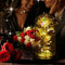 Glass Preserved Eternal Rose, Birthday Gifts for Her Women Gold Foil Artificial Rose with DIY Led Light, Beauty and The Beast Dome, Mother's Day Valentine's Mom Gift from Daughter, TOJUNE (Colorful)