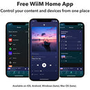WiiM Mini AirPlay2 Wireless Audio Streamer, Multiroom Stereo, Preamplifier, Compatible with Alexa and Siri Voice Assistants, Stream Hi-Res Audio from Spotify, Amazon Music and More