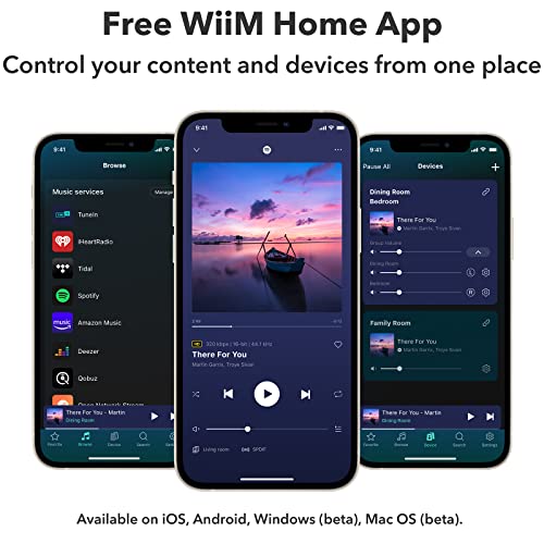 WiiM Mini AirPlay2 Wireless Audio Streamer, Multiroom Stereo, Preamplifier, Compatible with Alexa and Siri Voice Assistants, Stream Hi-Res Audio from Spotify, Amazon Music and More