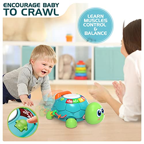 Baby Toys 6 to 12 Months, Musical Turtle Crawling Baby Toys for 12-18 Months, Early Learning Educational Toy with Light & Sound, Birthday Toy for Infant Toddler Boy Girl 7 8 9 10 11 month 1-2 Year Old