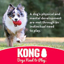 KONG - Flyer - Durable Rubber Flying Disc Dog Toy - for Large Dogs