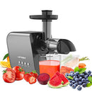 Fruit Vegetable Juicer Machine,Cold Press Slow Masticating Juicer Quiet Motor Easy To Clean,Juice Extractor BPA-Free Dry Pulp Dishwasher Safe for Celery Carrots Beets Greens Ginger Wheatgrass